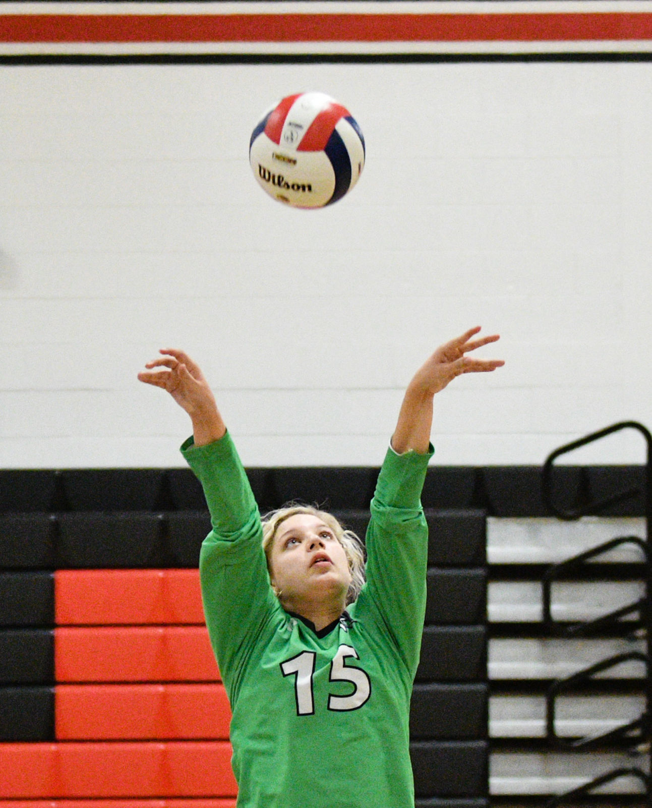 Class 2A Orion Volleyball Regional